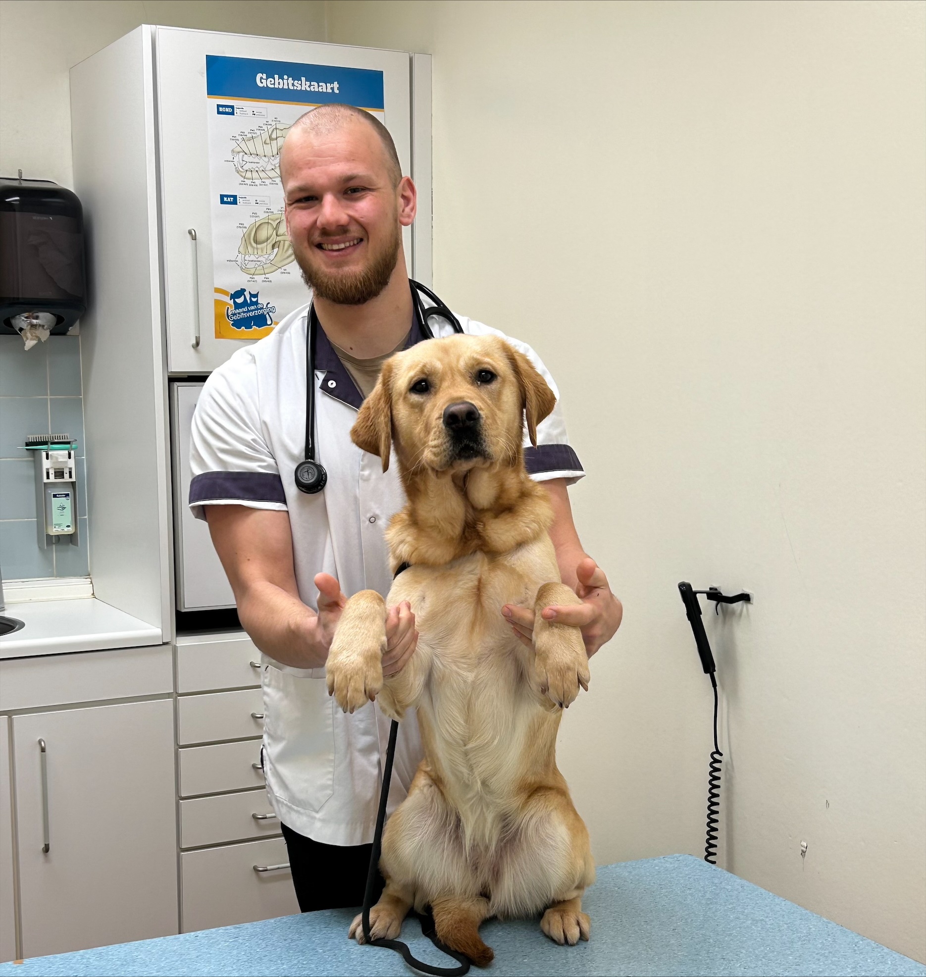 Robert - Gezelschapsdierenarts